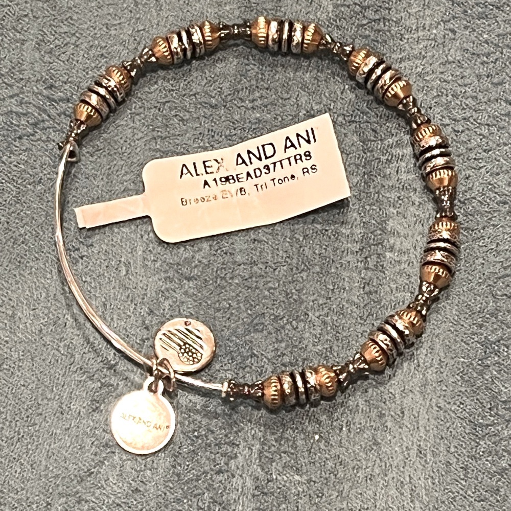 Alex and Ani Bangle Bracelet